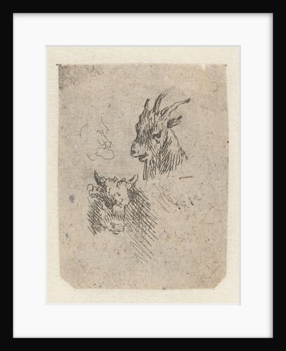 Heads of a goat and a cow by Nicolaes Pietersz. Berchem