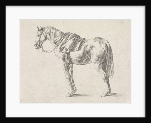 Saddled horse by Philips Wouwerman