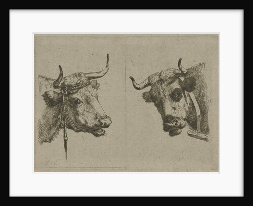 Two cows heads by Jan Kobell III