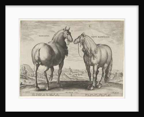 Horse from Rome and a mare by Philips Galle
