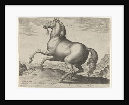 Horse from France, Gallicus by Philips Galle