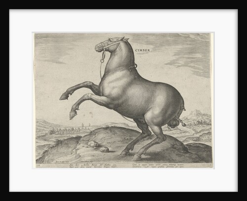 Horse from Scythia by Philips Galle