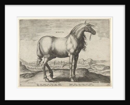 Horse from Greece (Achivus) by Philips Galle