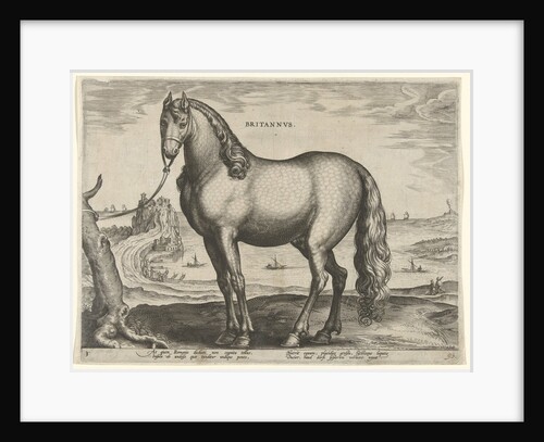 Horse from Brittany, Brittanus by Philips Galle