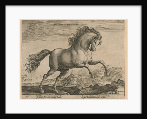 Bronco by Philips Galle