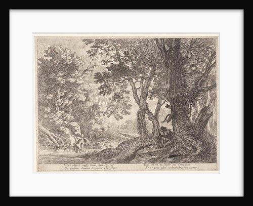 Salmacis and Hermaphrodite by Pierre Drevet