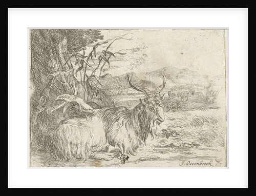 Goat under a tree by Nicolaes Pietersz. Berchem