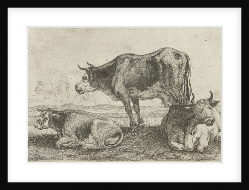 Three cows by Jan van den Hecke I
