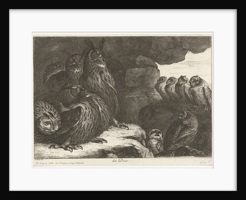 Owls in a cave by King of France