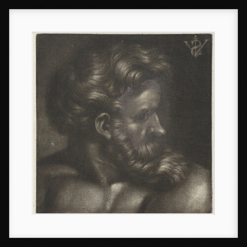 Bust of a man with beard by Jan van Somer