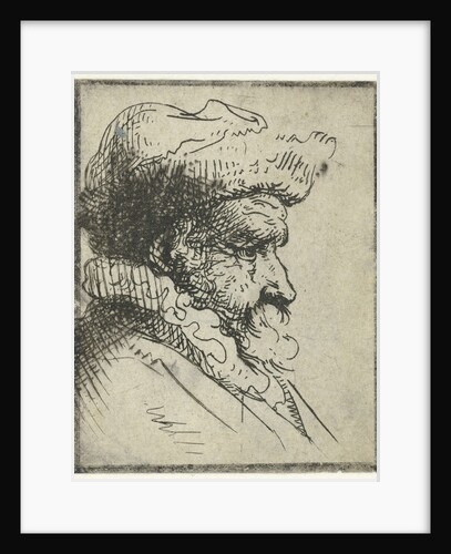 Bust of a man by Anonymous