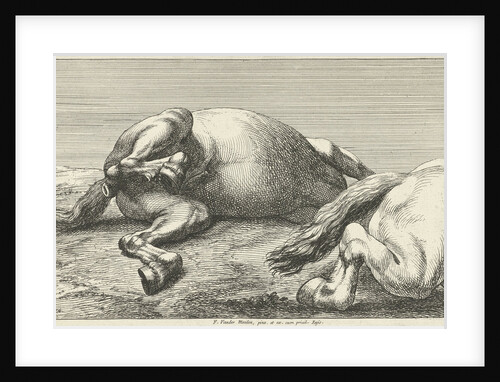Two killed horses by unknown