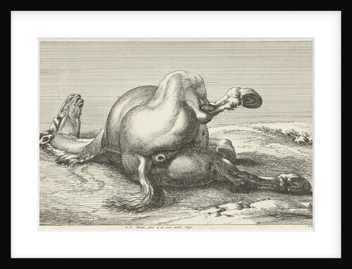 Killed horse by Anonymous