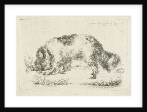Drinking dog by Guillaume Anne van der Brugghen