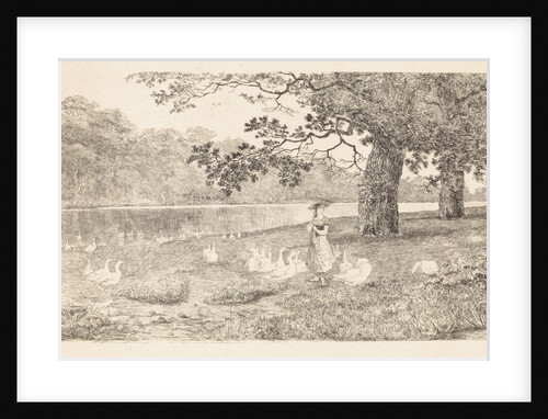 Geese in the water by Elias Stark