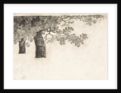 Geese in the water by Elias Stark