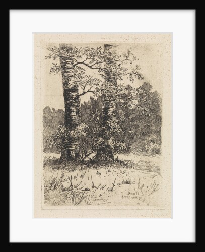 Two trees by Elias Stark