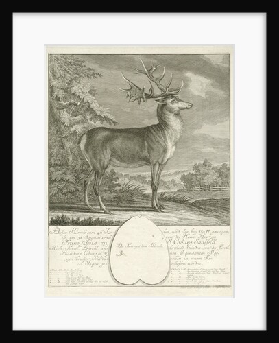 A deer by Johann Elias Ridinger