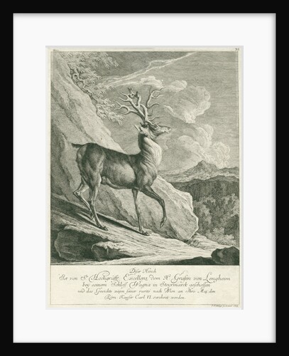 A deer by Johann Elias Ridinger