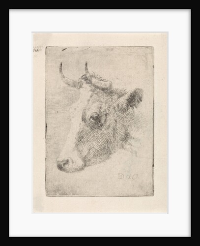 Head of a bull by Dirk van Oosterhoudt