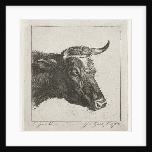 Head of a cow with rope around the horns by Jacobus Cornelis Gaal
