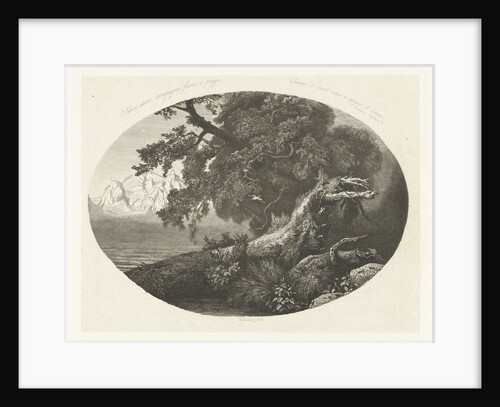 Uprooted tree trunk on the coast by Pierre Louis Dubourcq