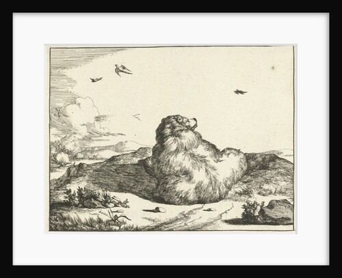 Bear by Marcus Gerards I