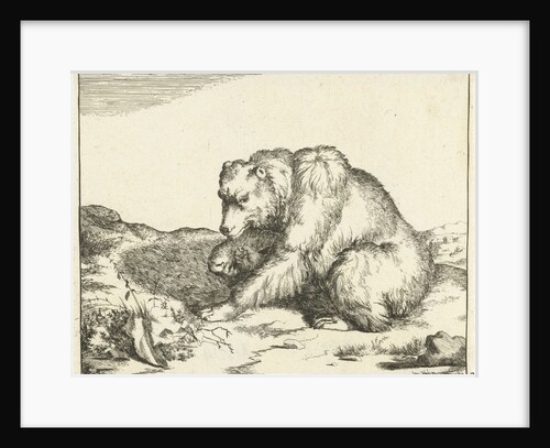 Sitting Bear, and profil by Marcus Gerards I