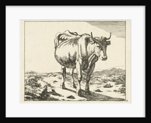 Standing cow, viewed from the front by Paulus Potter