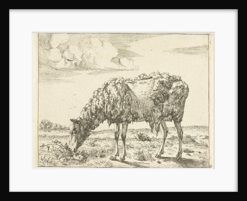 Sheep by Paul Potter