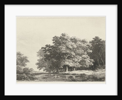 Trees on the water by Remigius Adrianus Haanen