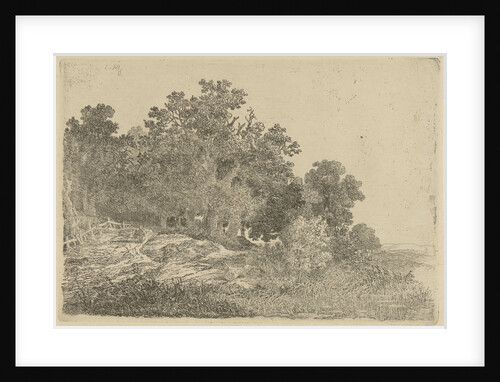 Forest view by Remigius Adrianus Haanen