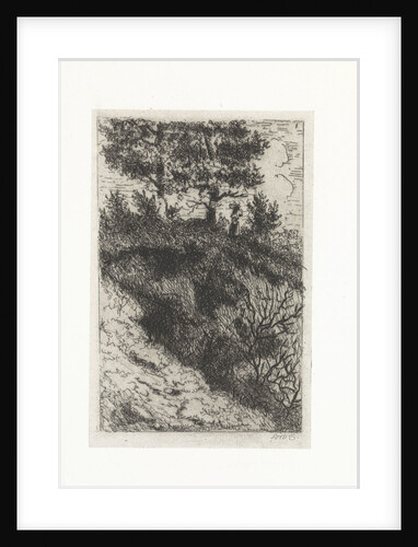 Woman in a dune landscape by Arnoud Schaepkens