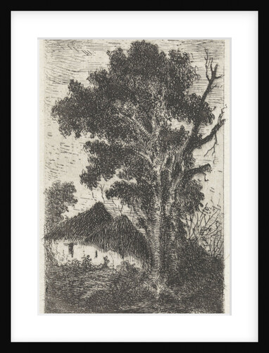 Thatched huts under a big tree by Arnoud Schaepkens