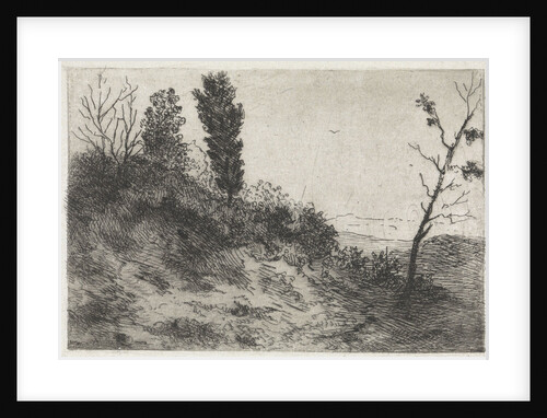 Dunes by Arnoud Schaepkens