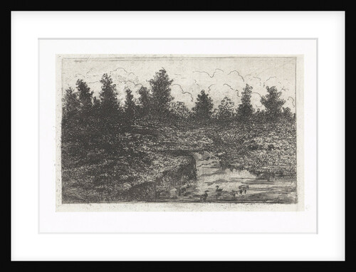 Pond with ducks by Arnoud Schaepkens