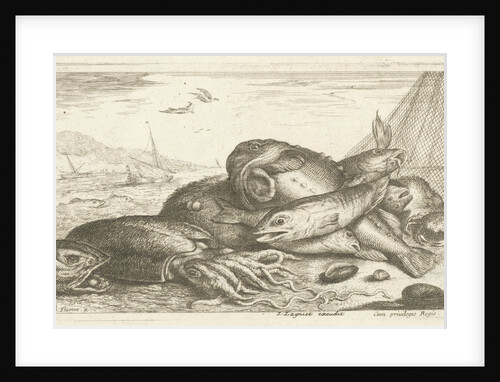 Fishes and a squid by Lodewijk XIV