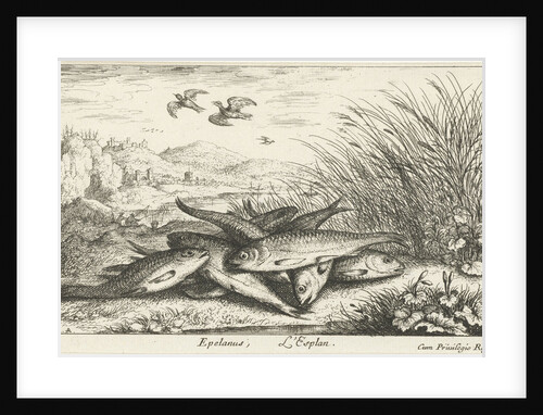 Fish on a riverbank by Albert Flamen