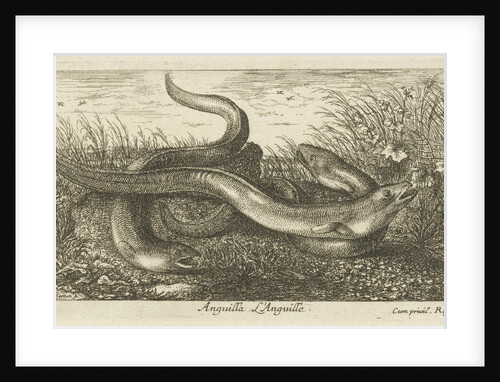 Three eels in the grass by Albert Flamen