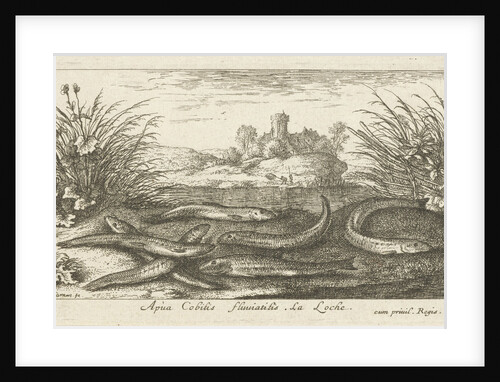 Loaches on a river bank by Albert Flamen