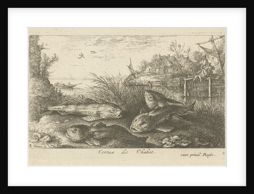 Chub, Squalius cephalus on a riverbank by Jacques van Merlen
