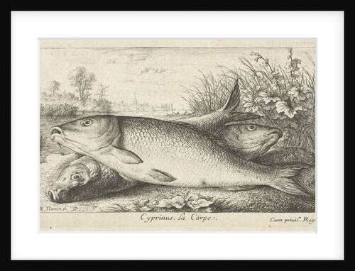 Three carp on a riverbank by Louis XIV King of France