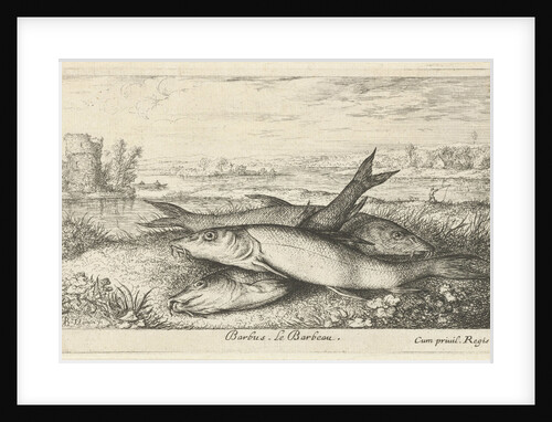 Three barbs on a riverbank by Lodewijk XIV