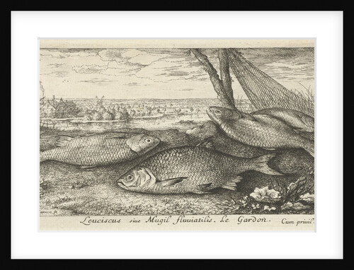 Four roaches and a fishing net by Louis XIV King of France