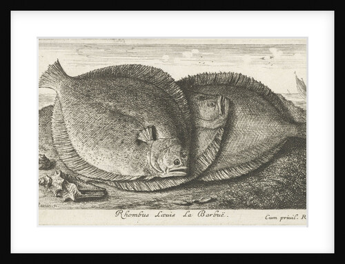 Three chicks on the beach by Lodewijk XIV