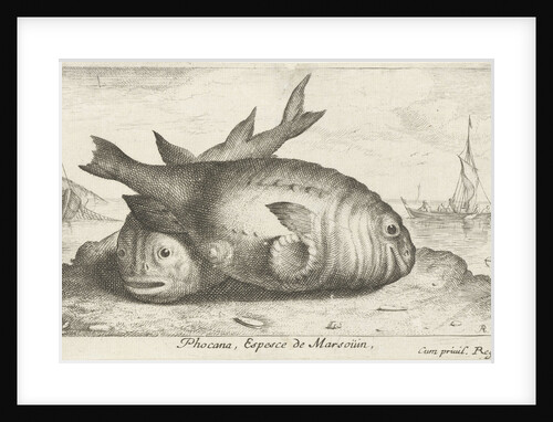 Two porpoises on the beach by Frans Geffels