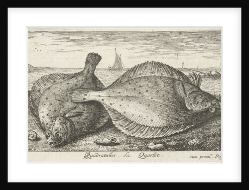 Two plaice on the beach by Louis Bernard Coclers