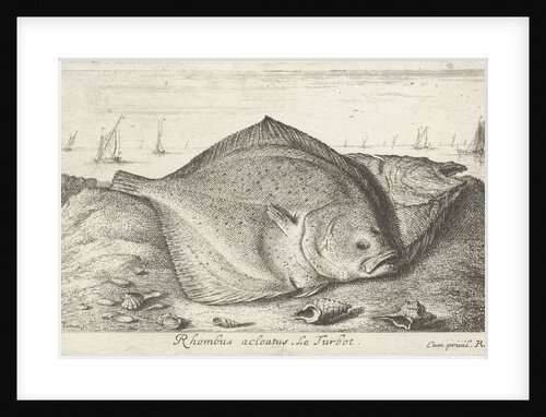 Two turbot on the beach by Lodewijk XIV