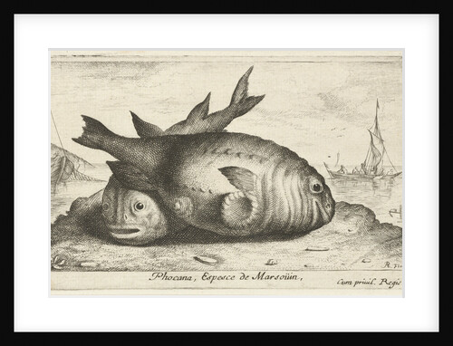 Two porpoises on the beach by Reinier Craeyvanger