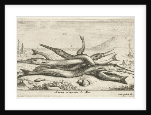 Gars on the beach by Lodewijk XIV